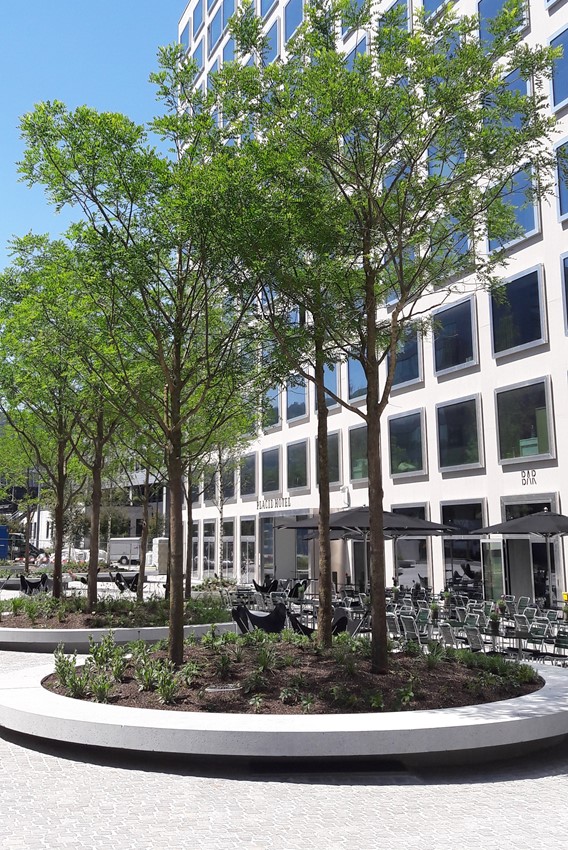 Bestes Restaurant Zürich