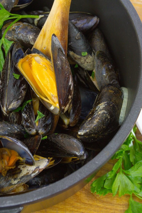 Moules Frites