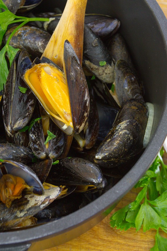 Mussels with french fries